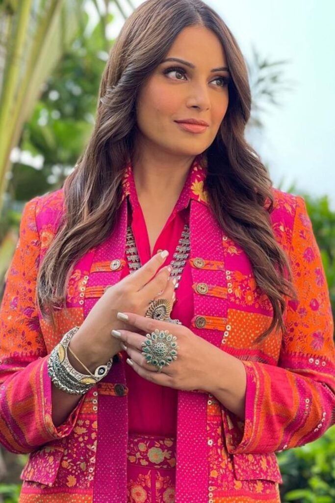 Soft brown highlights for Indian skin tone